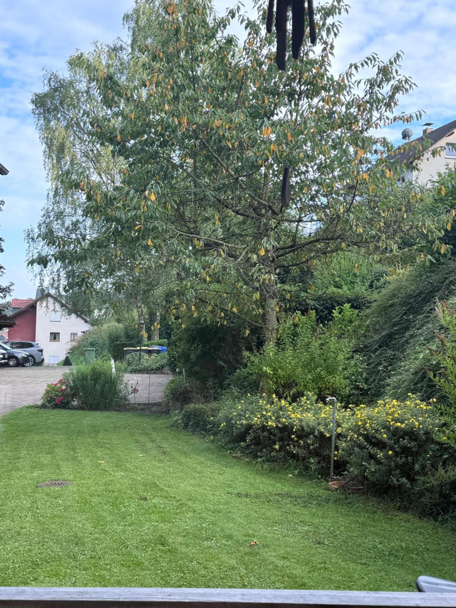 Apartment Zum Aatal Bad Wünnenberg Εξωτερικό φωτογραφία